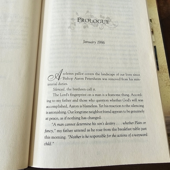 Rose Trilogy #3 The Mercy, By Beverly Lewis, Hardcover, Pre-owned - Picture 7 of 8